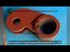 الرافعة المتأرجحة المستخدمة لمضخة الخرسانة 10018071